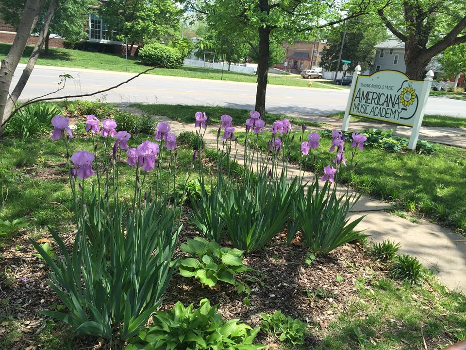 Americana Spring Flowers 2016